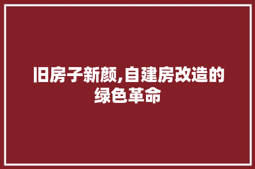 旧房子新颜,自建房改造的绿色革命