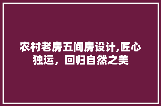 农村老房五间房设计,匠心独运，回归自然之美