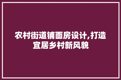 农村街道铺面房设计,打造宜居乡村新风貌