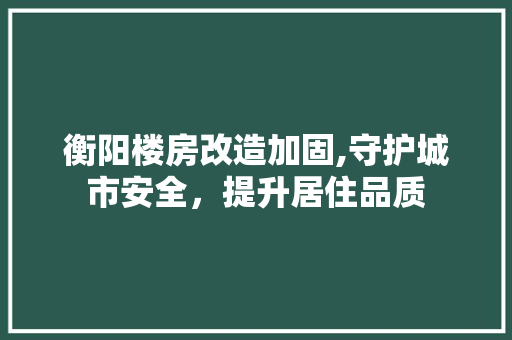 衡阳楼房改造加固,守护城市安全，提升居住品质