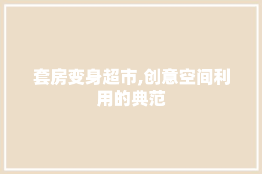套房变身超市,创意空间利用的典范
