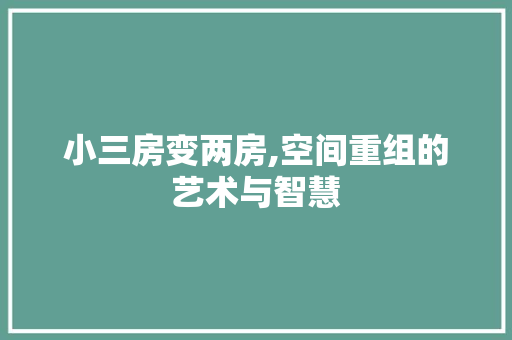 小三房变两房,空间重组的艺术与智慧