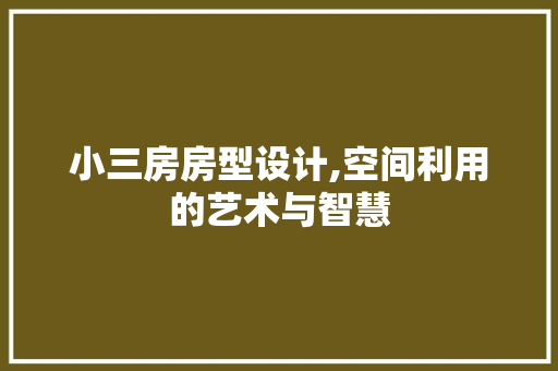 小三房房型设计,空间利用的艺术与智慧