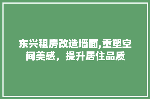 东兴租房改造墙面,重塑空间美感，提升居住品质