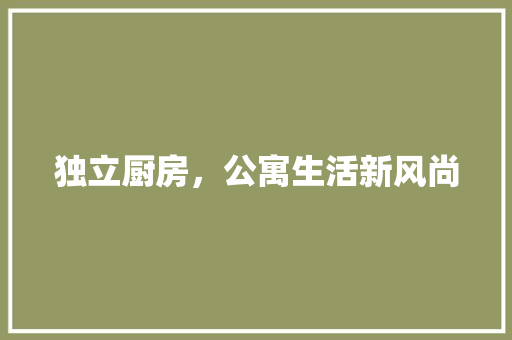 独立厨房，公寓生活新风尚