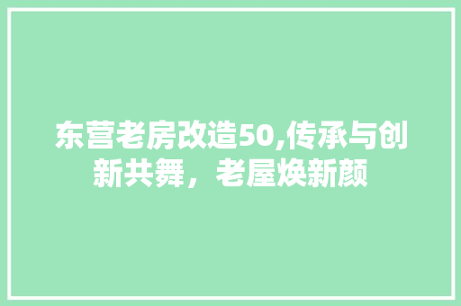 东营老房改造50,传承与创新共舞，老屋焕新颜