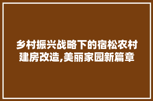 乡村振兴战略下的宿松农村建房改造,美丽家园新篇章