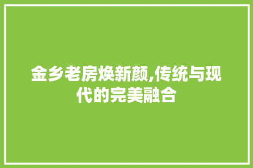 金乡老房焕新颜,传统与现代的完美融合