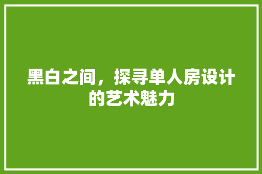 黑白之间，探寻单人房设计的艺术魅力