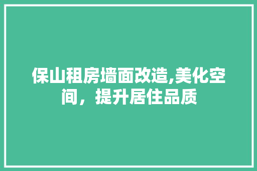 保山租房墙面改造,美化空间，提升居住品质