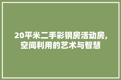 20平米二手彩钢房活动房,空间利用的艺术与智慧