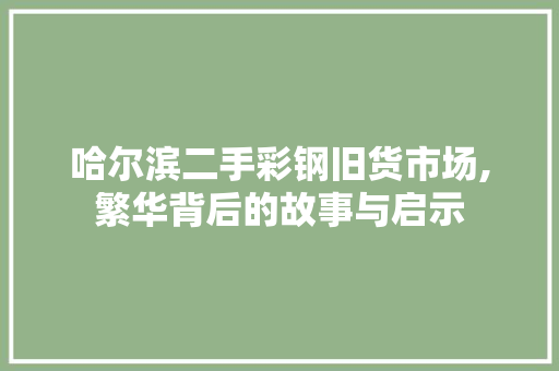 哈尔滨二手彩钢旧货市场,繁华背后的故事与启示