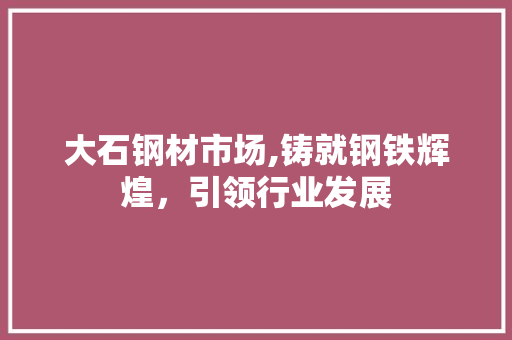 大石钢材市场,铸就钢铁辉煌，引领行业发展