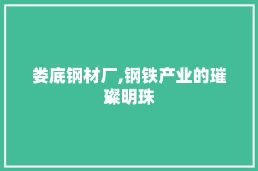 娄底钢材厂,钢铁产业的璀璨明珠