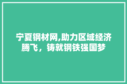 宁夏钢材网,助力区域经济腾飞，铸就钢铁强国梦