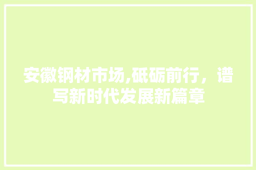 安徽钢材市场,砥砺前行，谱写新时代发展新篇章