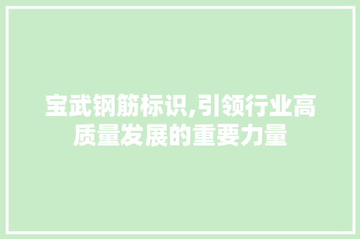 宝武钢筋标识,引领行业高质量发展的重要力量