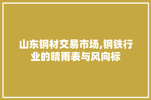 山东钢材交易市场,钢铁行业的晴雨表与风向标