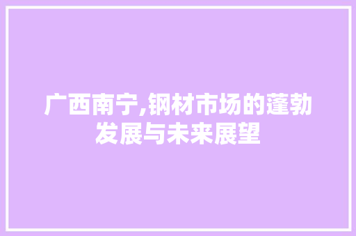 广西南宁,钢材市场的蓬勃发展与未来展望
