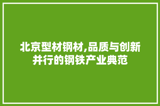 北京型材钢材,品质与创新并行的钢铁产业典范