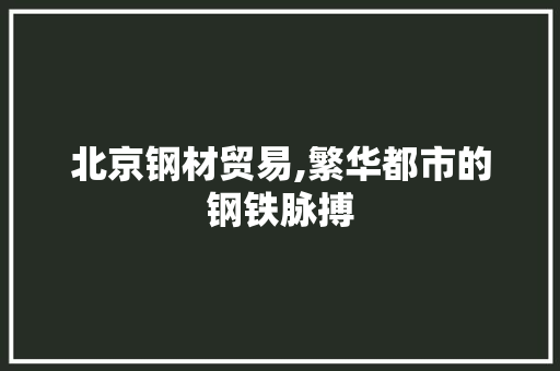 北京钢材贸易,繁华都市的钢铁脉搏