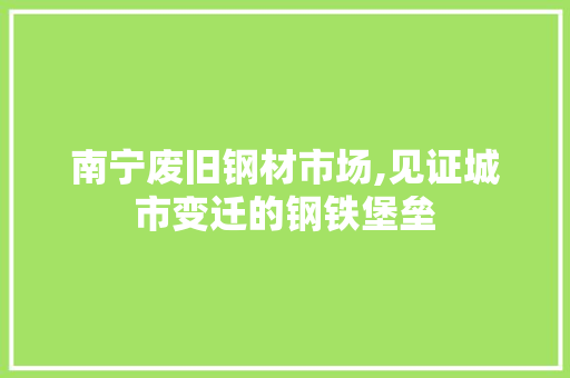南宁废旧钢材市场,见证城市变迁的钢铁堡垒