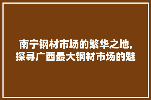 南宁钢材市场的繁华之地,探寻广西最大钢材市场的魅力