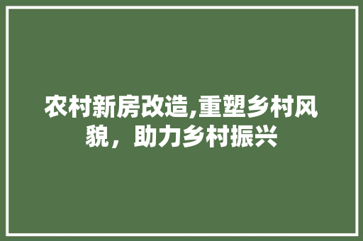 农村新房改造,重塑乡村风貌，助力乡村振兴