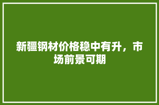 新疆钢材价格稳中有升，市场前景可期