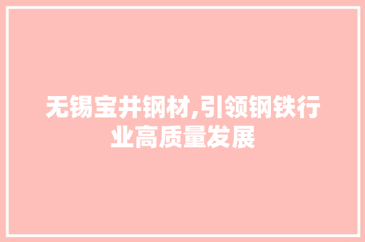 无锡宝井钢材,引领钢铁行业高质量发展