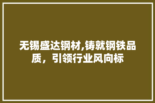 无锡盛达钢材,铸就钢铁品质，引领行业风向标