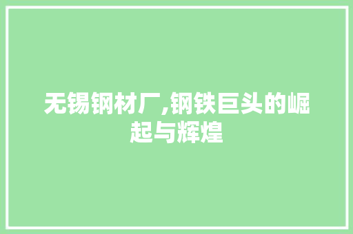 无锡钢材厂,钢铁巨头的崛起与辉煌