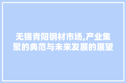 无锡青阳钢材市场,产业集聚的典范与未来发展的展望