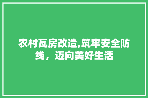 农村瓦房改造,筑牢安全防线，迈向美好生活