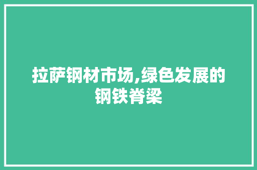 拉萨钢材市场,绿色发展的钢铁脊梁