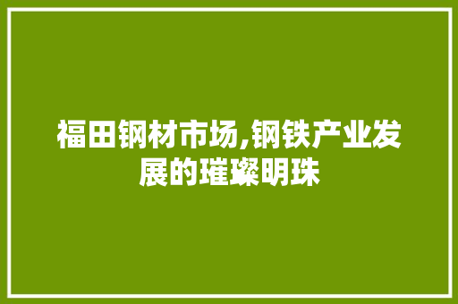 福田钢材市场,钢铁产业发展的璀璨明珠