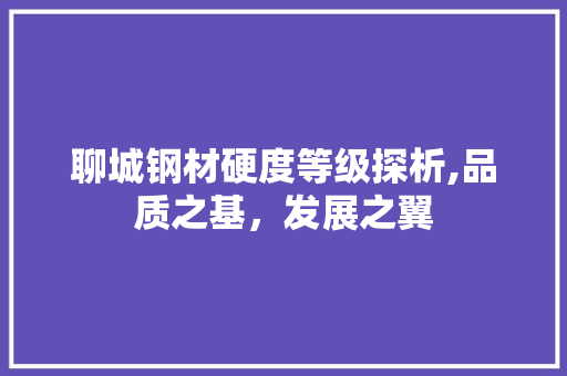 聊城钢材硬度等级探析,品质之基，发展之翼