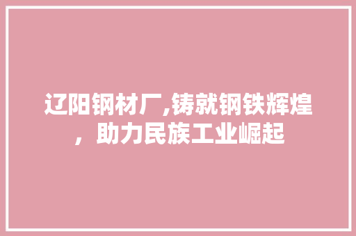 辽阳钢材厂,铸就钢铁辉煌，助力民族工业崛起