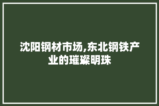 沈阳钢材市场,东北钢铁产业的璀璨明珠
