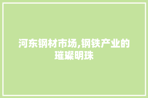 河东钢材市场,钢铁产业的璀璨明珠