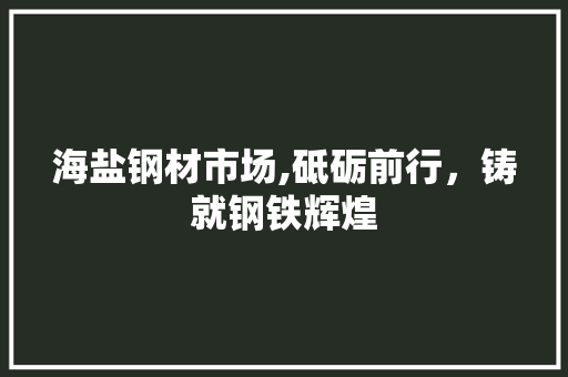 海盐钢材市场,砥砺前行，铸就钢铁辉煌