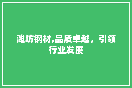 潍坊钢材,品质卓越，引领行业发展