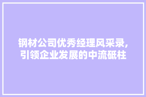 钢材公司优秀经理风采录,引领企业发展的中流砥柱