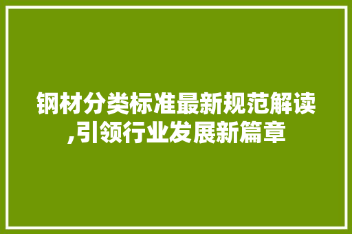 钢材分类标准最新规范解读,引领行业发展新篇章
