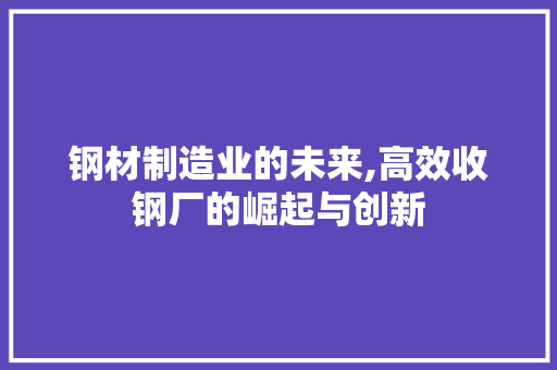 钢材制造业的未来,高效收钢厂的崛起与创新