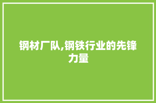 钢材厂队,钢铁行业的先锋力量