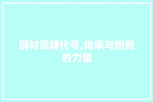 钢材品牌代号,传承与创新的力量