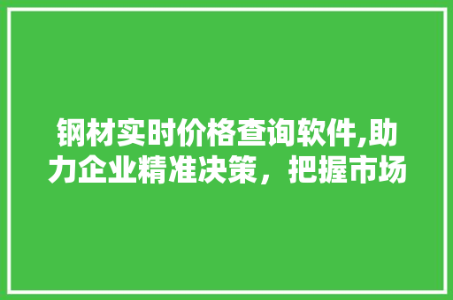 钢材实时价格查询软件,助力企业精准决策，把握市场脉搏