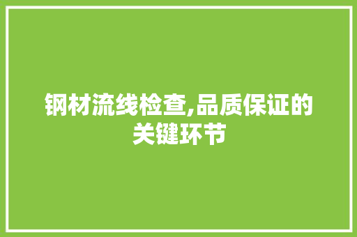 钢材流线检查,品质保证的关键环节