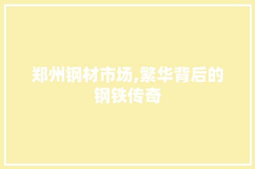 郑州钢材市场,繁华背后的钢铁传奇